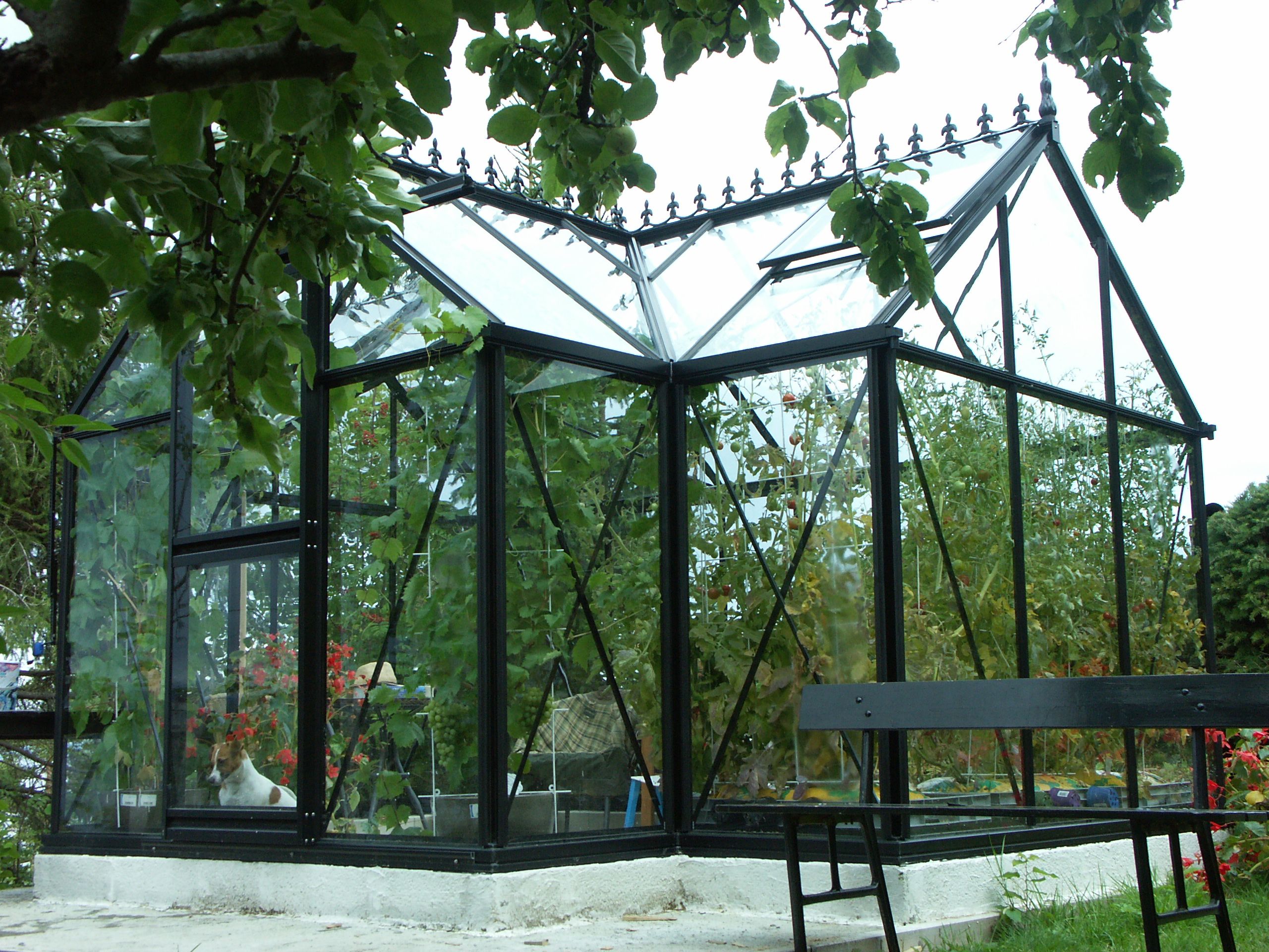 Janssens Junior Victorian Oranžēria / Siltumnīca 