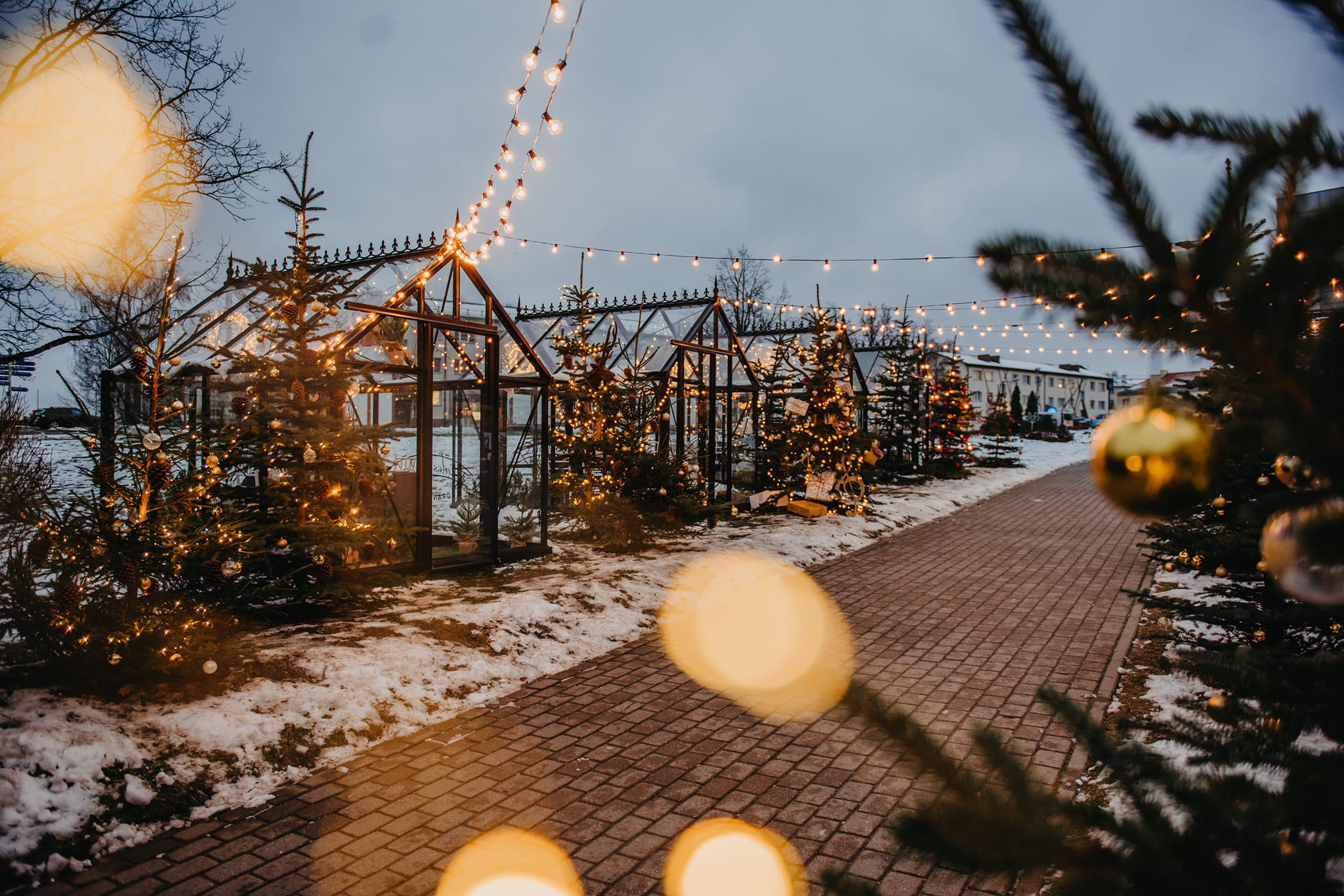 Janssens Eos Junior Victorian siltumnīca 236 x 310