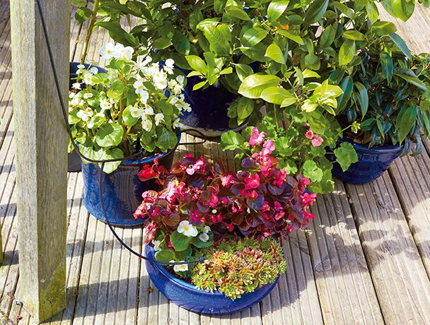   Solārā laistīšanas sistēmas C24 siltumnīcām un dārziem 